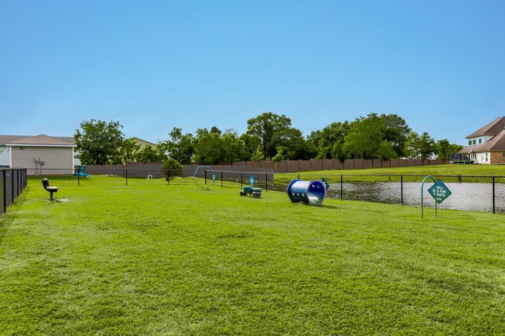 a dog park with agility equipment in the grass
