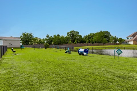 a dog park with agility equipment in the grass