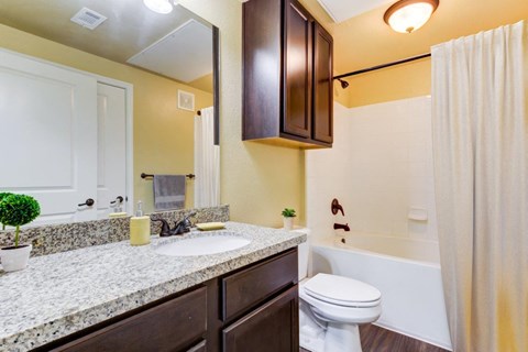 a bathroom with a sink and a toilet