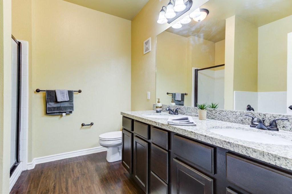 a bathroom with a sink and a toilet