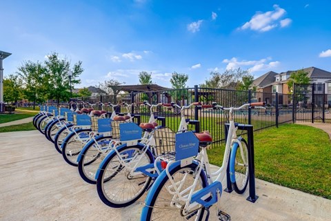 a row of bikes parked in front of a park