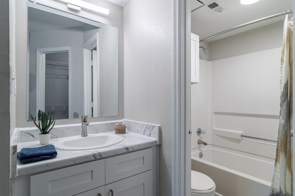 a bathroom with a sink and a shower and a mirror