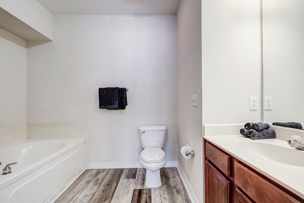 a bathroom with a toilet and a tub and a sink