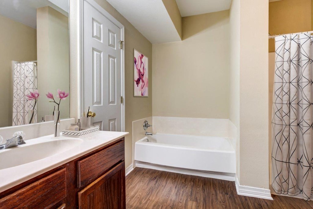 a bathroom with a tub and a sink and a mirror