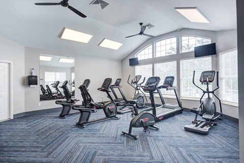 A gym with treadmills, elliptical machines, and a fan.