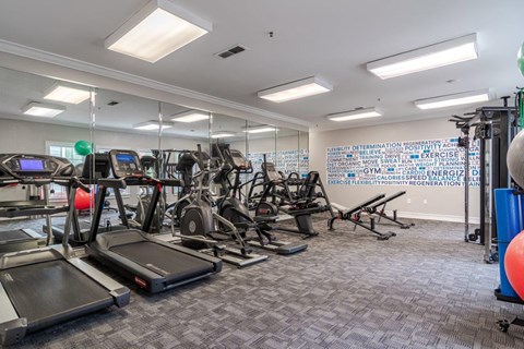A gym with treadmills, exercise bikes, and other equipment.