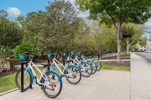 A row of bicycles are parked on a sidewalk.