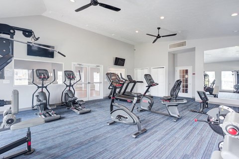 A gym with a variety of exercise equipment including treadmills, stationary bikes, and weight machines.