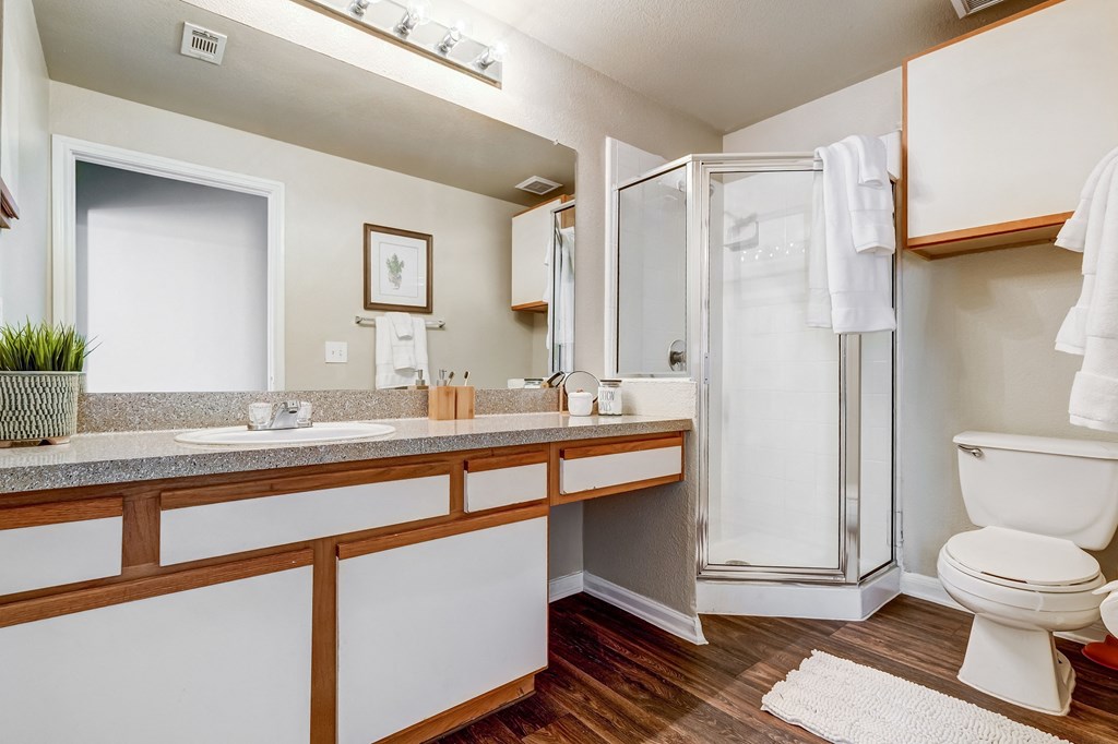 a bathroom with a shower toilet and sink and a mirror