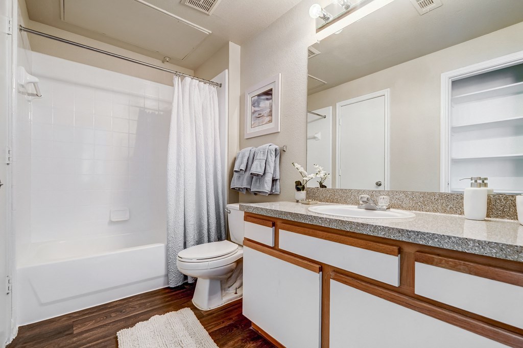 a bathroom with a shower toilet and sink