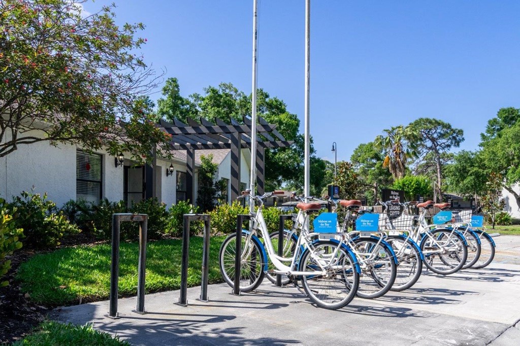 a row of bikes parked next to a sidewalk