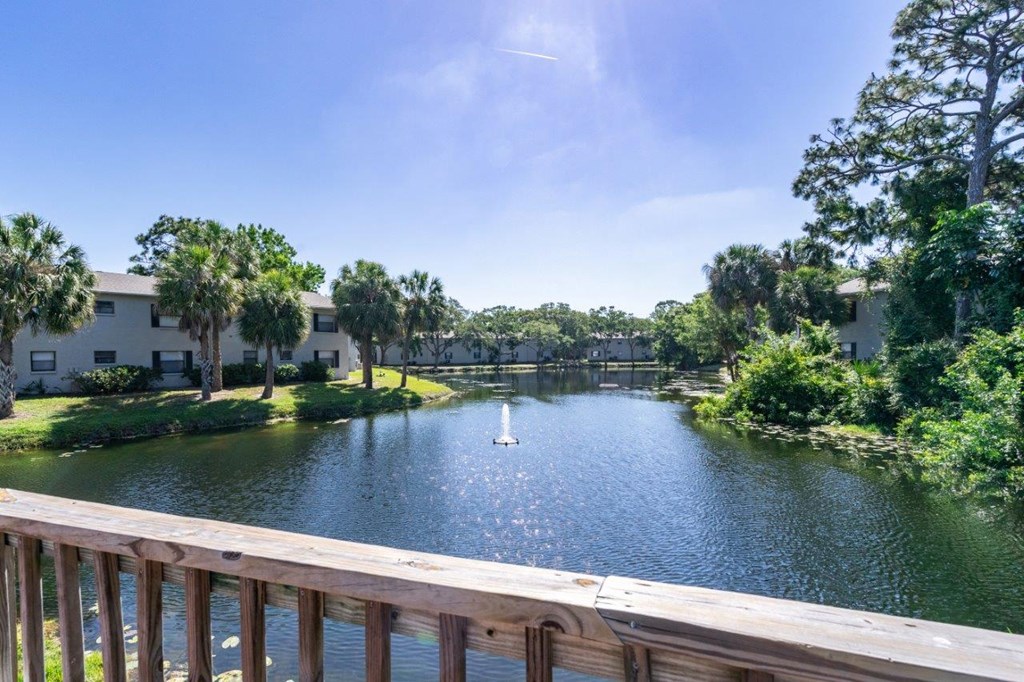 a view of a pond with a wooden bridge