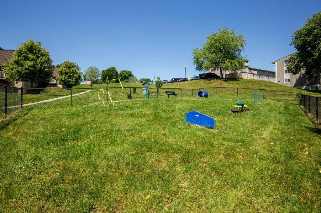 a backyard with a dog park and a playground