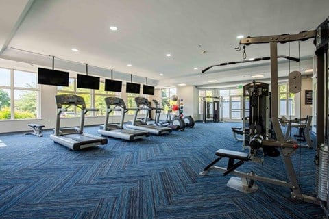 a gym with weights and cardio equipment on a blue rug