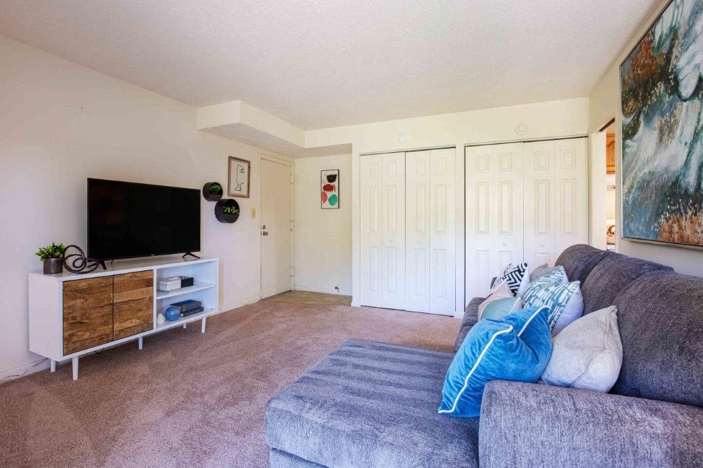 a living room with a couch and a tv