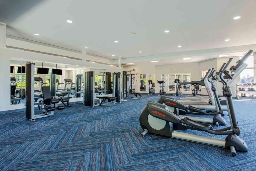 a gym with cardio machines and weights in a large room