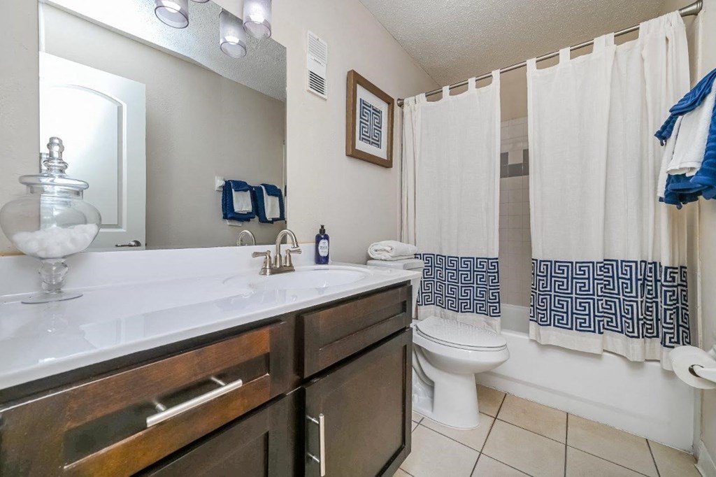 a bathroom with a sink and a toilet