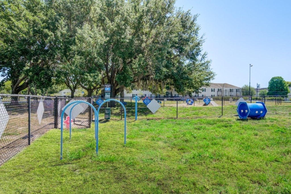 a fenced in dog park with agility equipment and trees