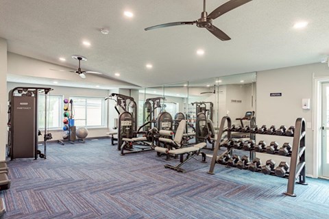 A spacious gym with a variety of equipment including a bench press, a leg press, a rowing machine, and a treadmill.