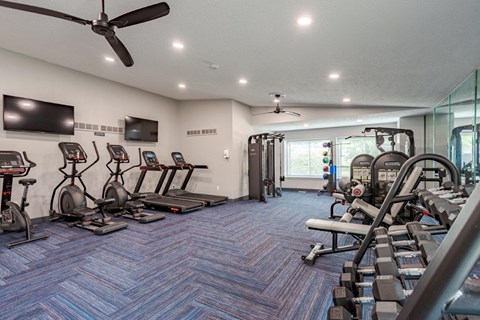 A gym with a variety of equipment including treadmills, stationary bikes, and weight machines.