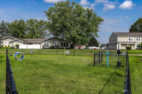 A playground with a blue swing set and a green slide.