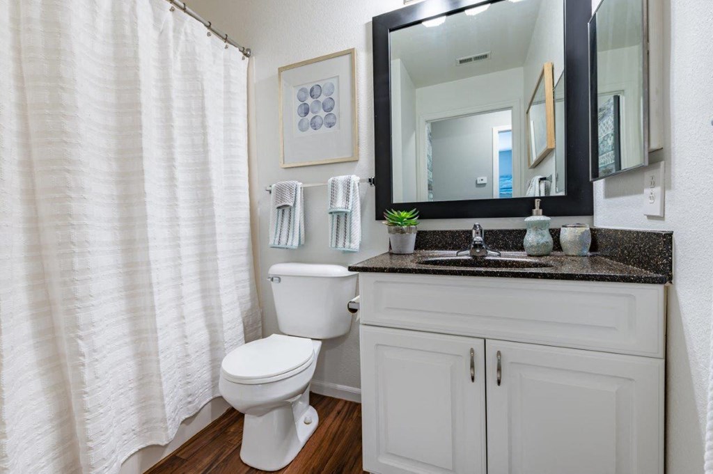 a bathroom with a toilet and a sink and a mirror