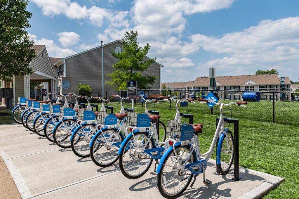 a row of blue bikes parked in front of a building