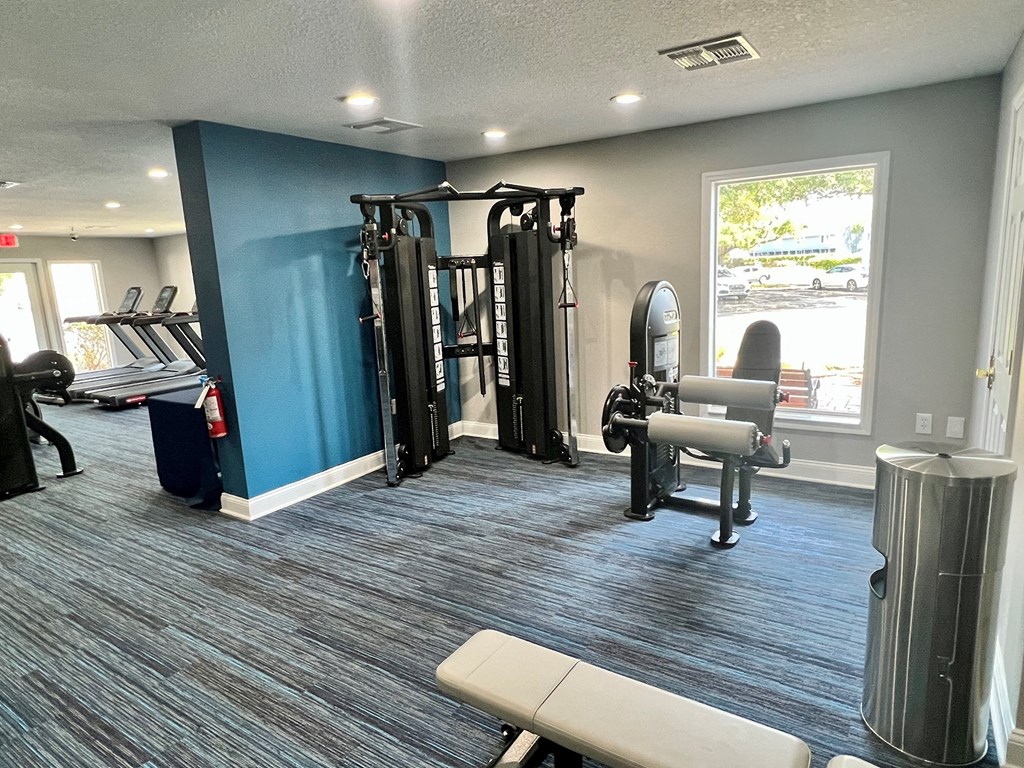 a gym with cardio machines and weights on a blue wall