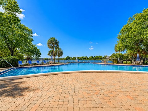 A large outdoor swimming pool surrounded by trees.