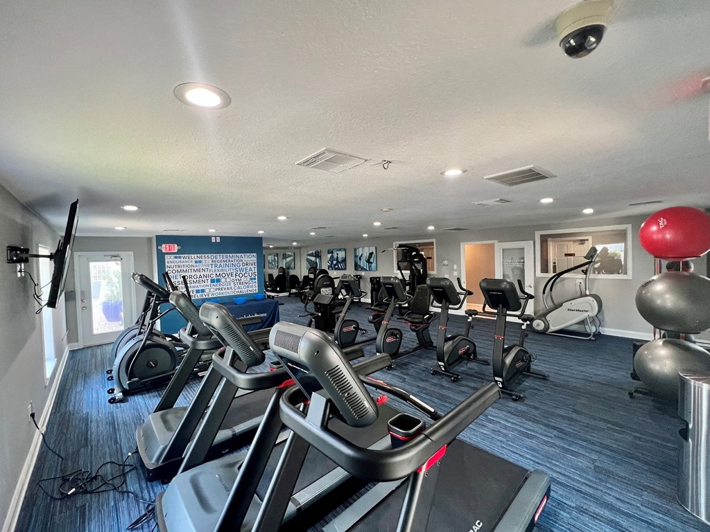the gym is equipped with plenty of exercise bikes and weights