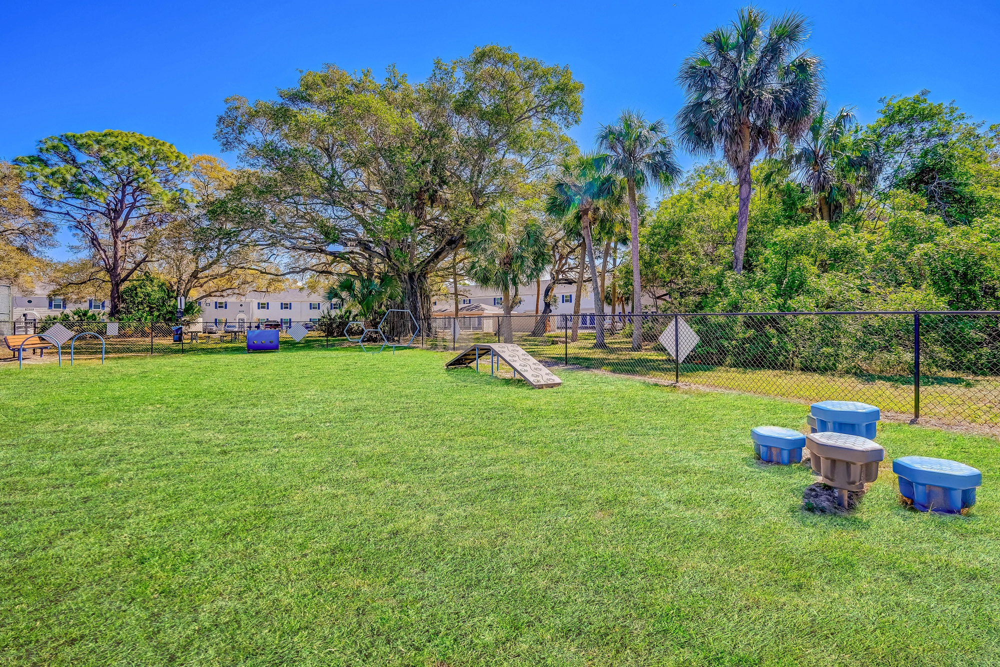 a large yard with toilets in the grass