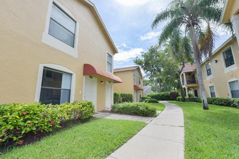 a sidewalk in front of a yellow house with a palm tree