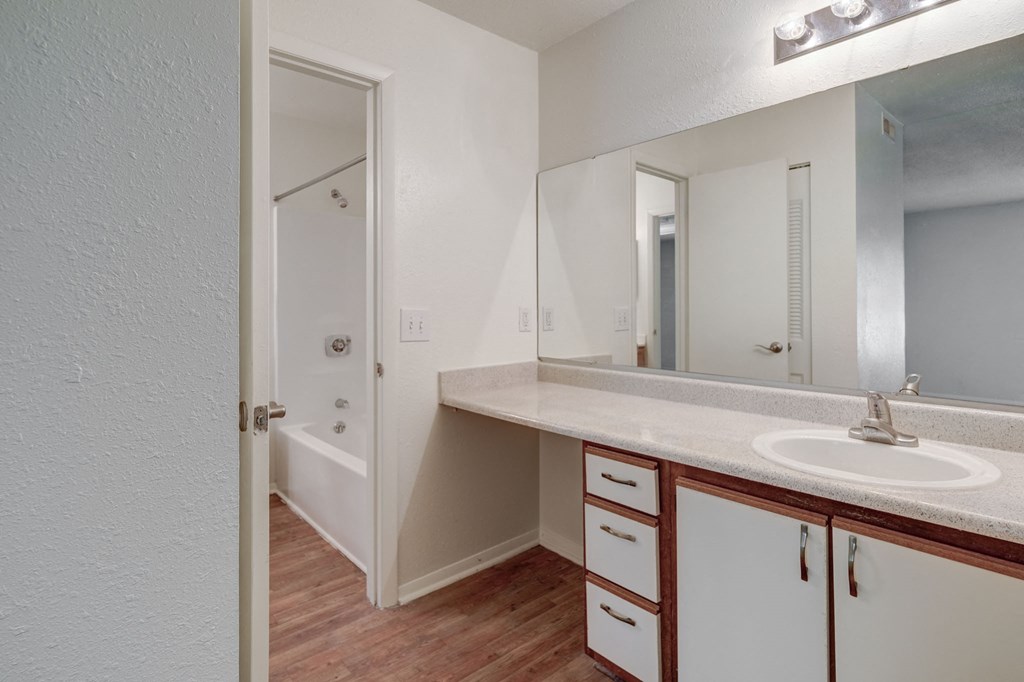 a bathroom with a sink and a mirror and a shower