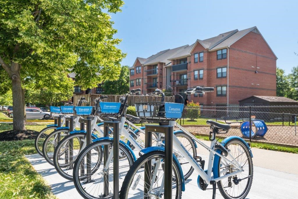 a row of bikes parked in front of a building
