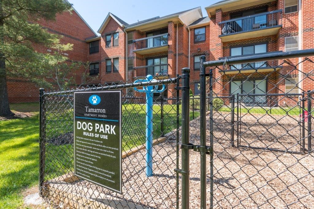 a dog park in front of an apartment building