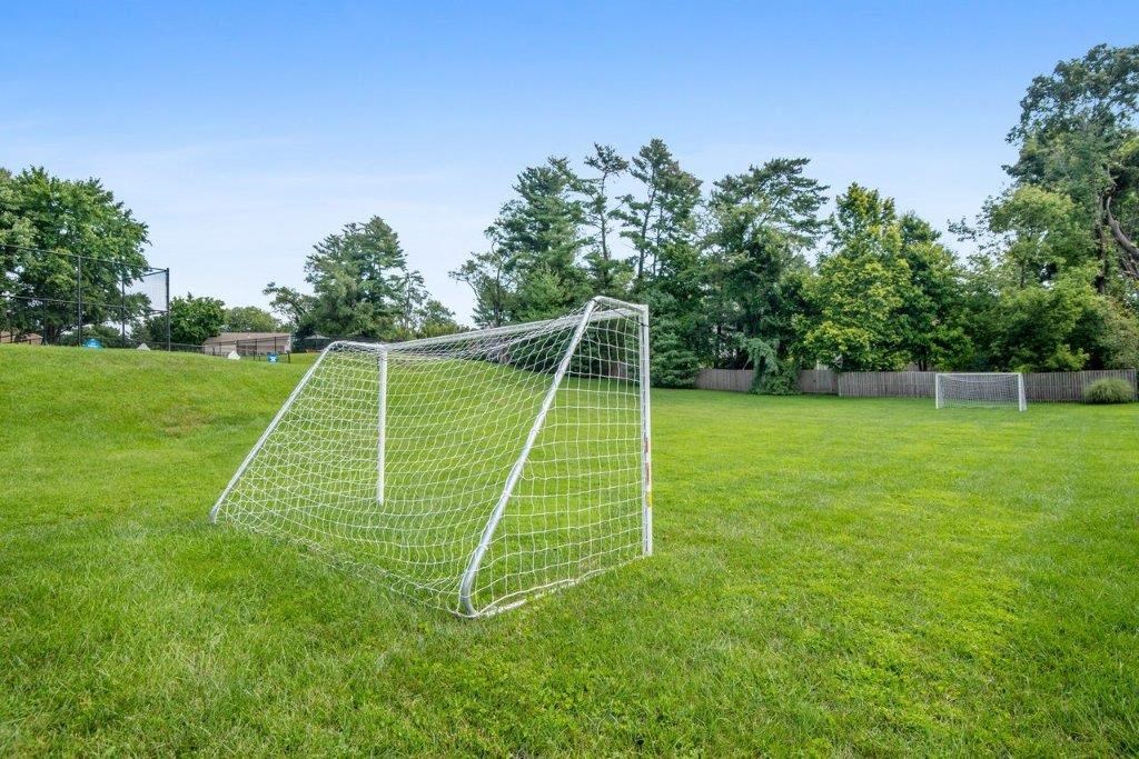 a soccer goal on a field in a park