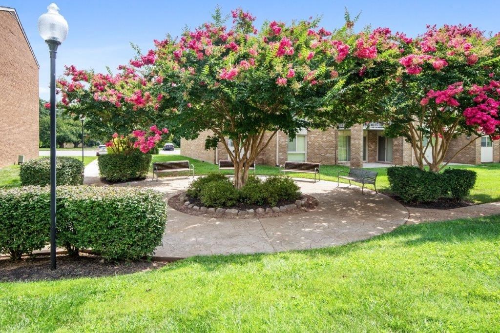 a courtyard with a tree and benches in front of a building