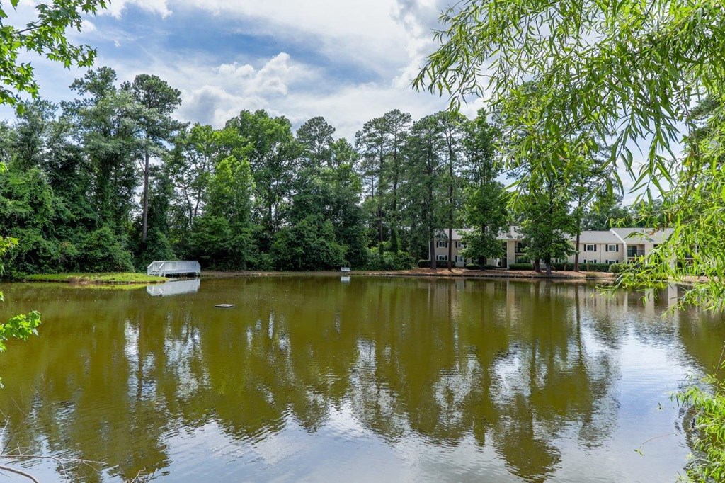 a pond with a house in the background and trees