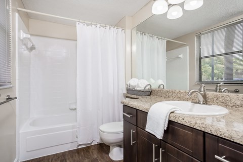 the preserve at ballantyne commons apartment bathroom with sink toilet and shower