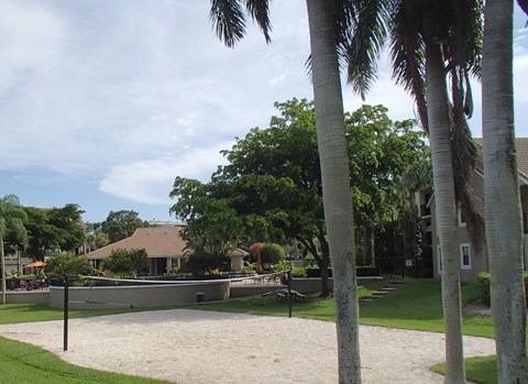 a sandy area with palm trees and a house in the background