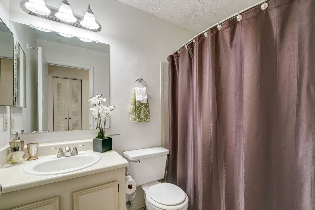 a bathroom with a shower and a toilet and a sink