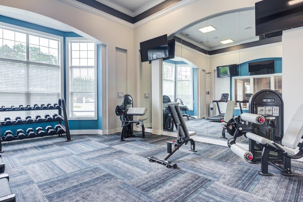 a gym with weights and cardio machines and a television