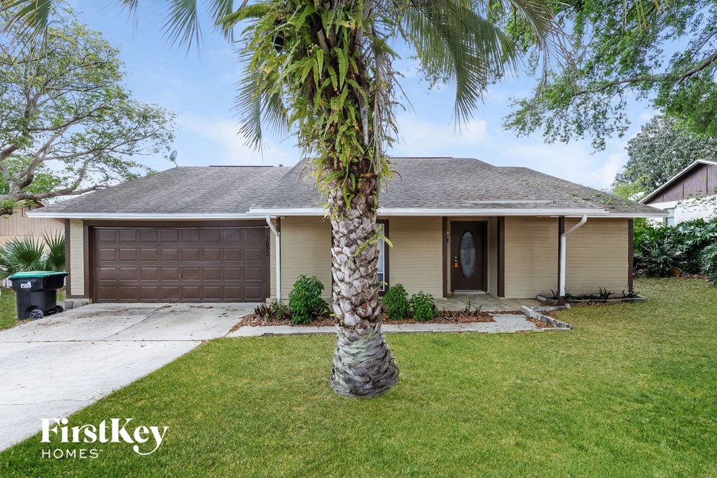a palm tree in the front yard of a house