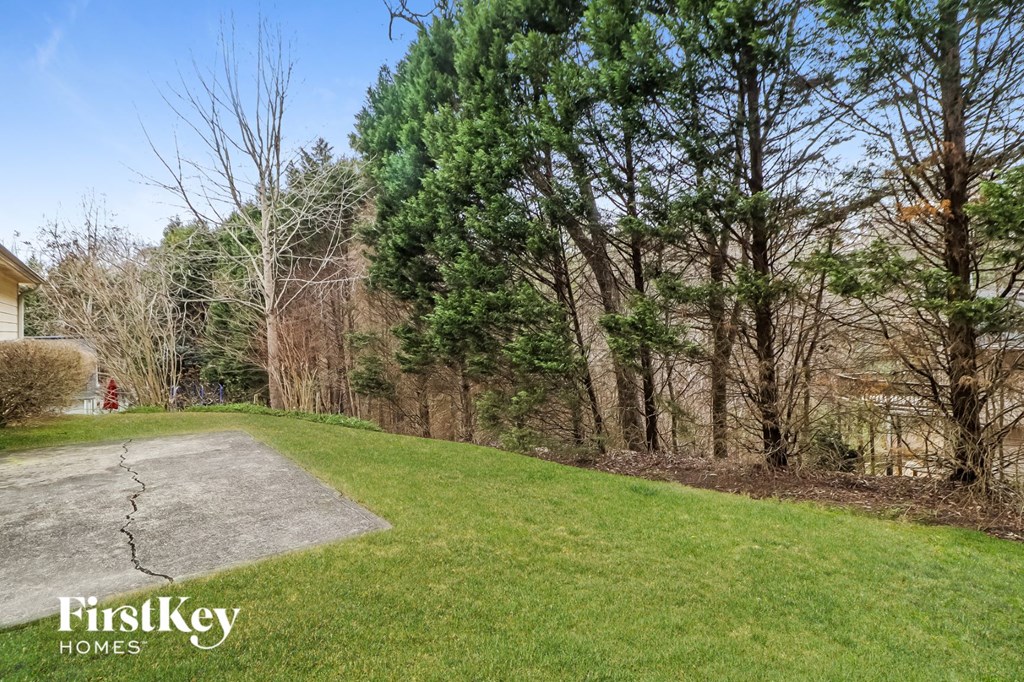 a backyard with green grass and trees and a concrete driveway