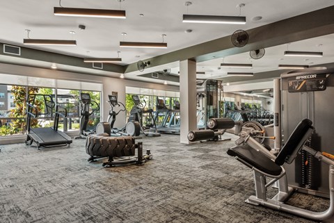 Gym 1