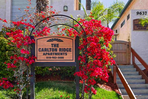 A sign for Carlton Ridge Apartments is surrounded by red flowers.