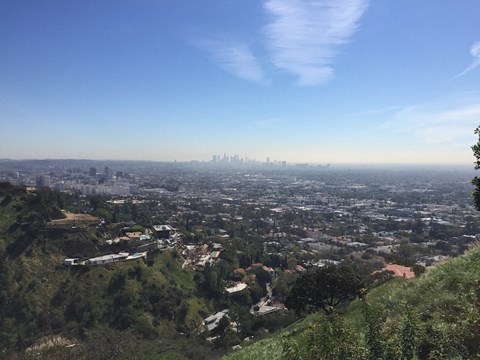 a view of the city from a hill