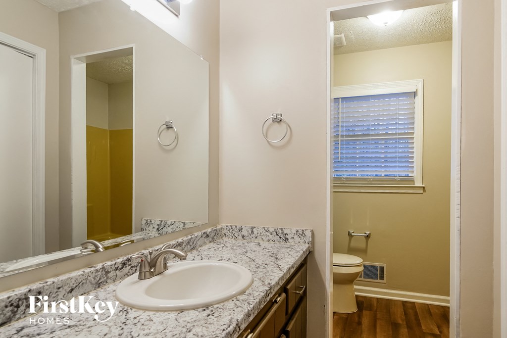 a bathroom with a sink and a mirror and a toilet