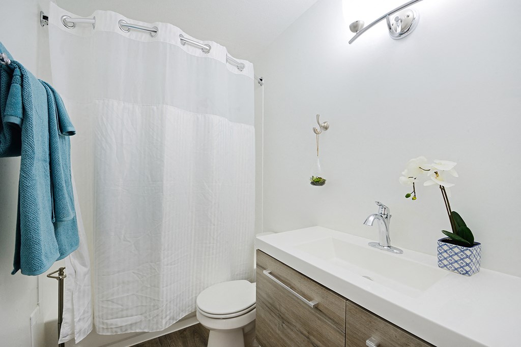 a bathroom with a shower and a sink and a toilet