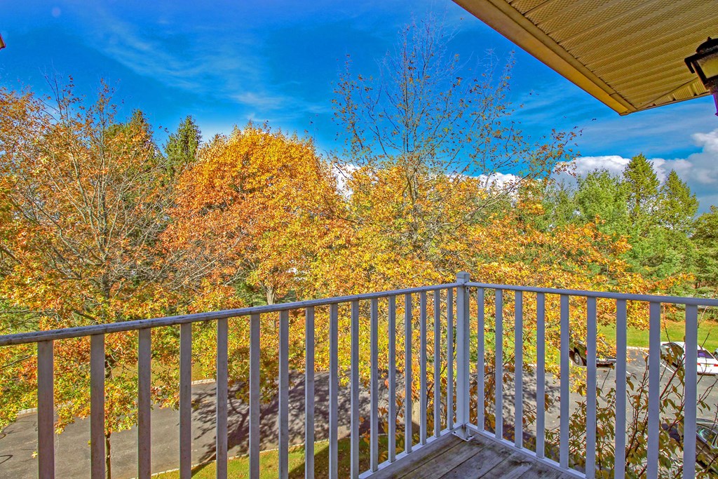 the view from the deck of a cabin with autumn trees